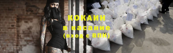 apvp Алексин
