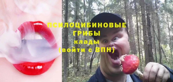 apvp Алексин