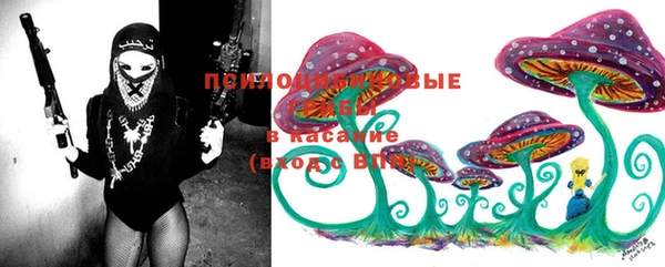 марки lsd Алзамай
